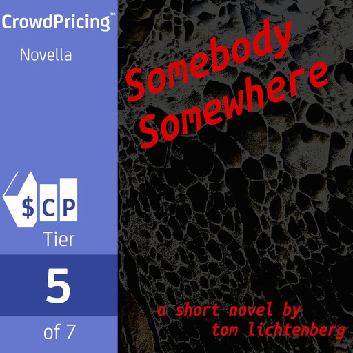 Somebody Somewhere, Tom Lichtenberg
