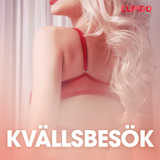 Kvällsbesök - erotiska noveller, Cupido