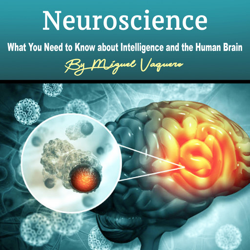 Neuroscience, Miguel Vaquero