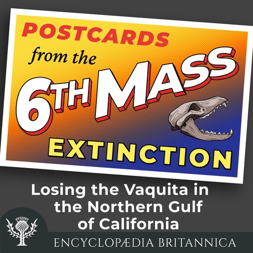 Losing the Vaquita in the Northern Gulf of California: What Would It Mean?, John Rafferty