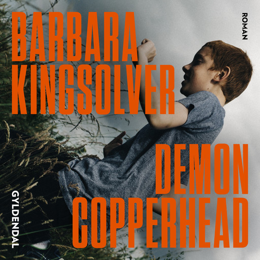 Demon Copperhead, Barbara Kingsolver