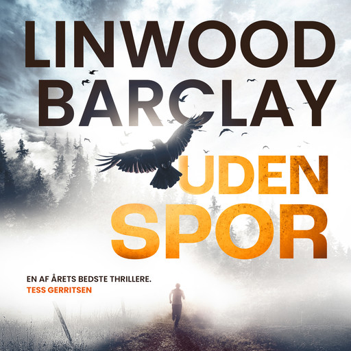Uden spor, Linwood Barclay