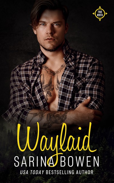 Waylaid, Sarina Bowen