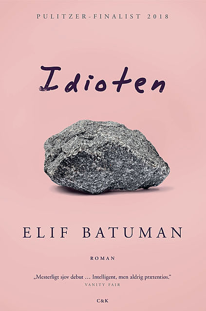 Idioten, Elif Batuman