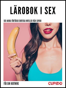 Lärobok i sex – och andra förförisk erotiska noveller från Cupido, Others Cupido