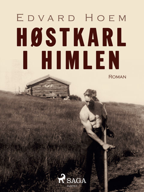 Høstkarl i himlen, Edvard Hoem