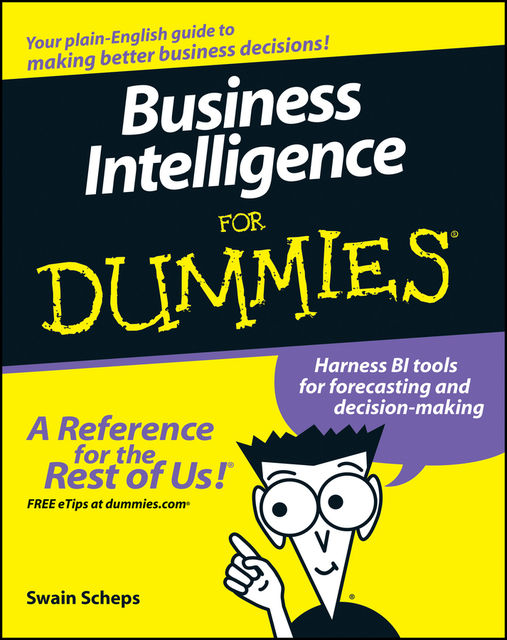 Business Intelligence For Dummies, Swain Scheps