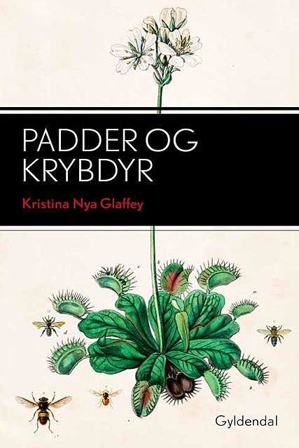 Padder og krybdyr, Kristina Nya Glaffey