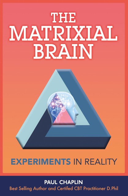 The Matrixial Brain, Paul Chaplin