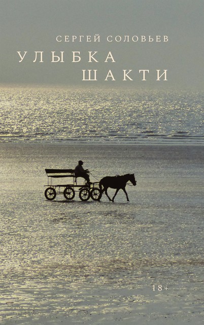 Улыбка Шакти, Сергей Соловьев