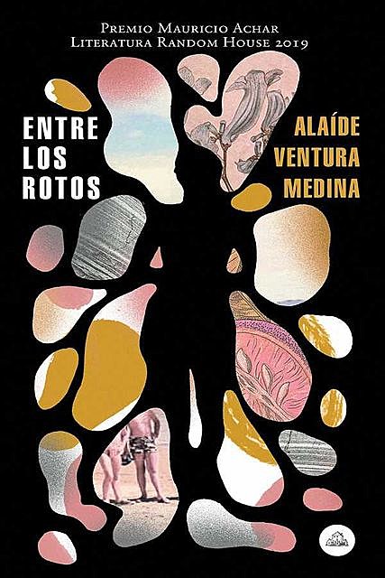 Entre los rotos, Alaíde Ventura Medina
