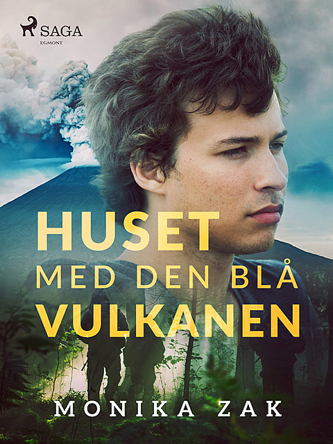 Huset med den blå vulkanen, Monica Zak