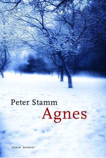 Agnes, Peter Stamm