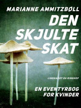 Den skjulte skat: en eventyrbog for kvinder, Marianne Ammitzbøll