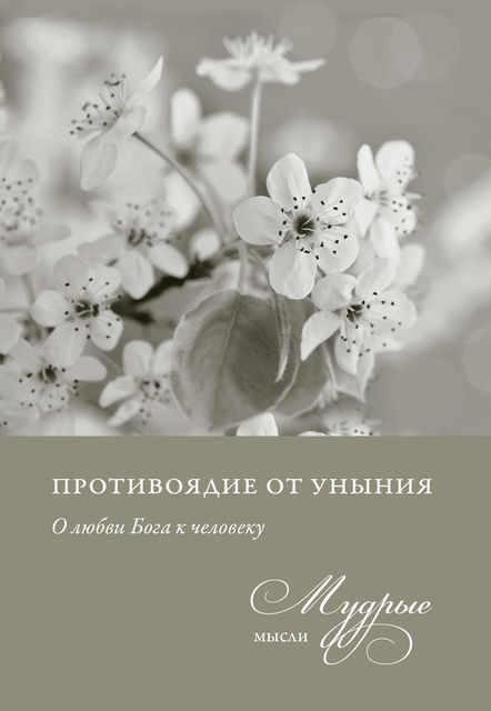 Противоядие от уныния. О любви Бога к человеку. Мудрые мысли, Владимир Лучанинов