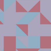 „Feminismo y estudios de género“ – Ein Regal, Paulina Carrillo