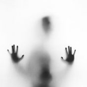 “Libros de terror que nos gustaría ver en pantalla” – a bookshelf, Cinescopia