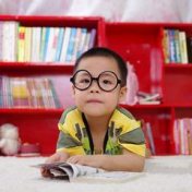 „Geeks Shall Inherit The Earth“ – Ein Regal, international