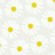 “Walter Riso”, una estantería, Stefany Lince