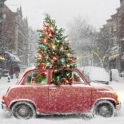 „Cerita Natal Terbaik“ – polica za knjige, Bookmate