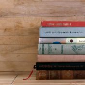 „Žitna poštuje TBR“ – polica za knjige, Anja Ninkovic
